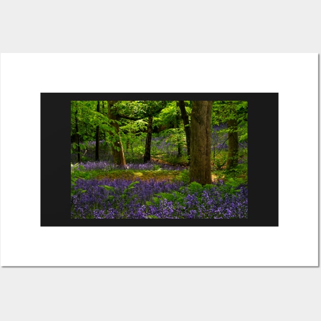 English Bluebell Woodland Wall Art by MartynUK